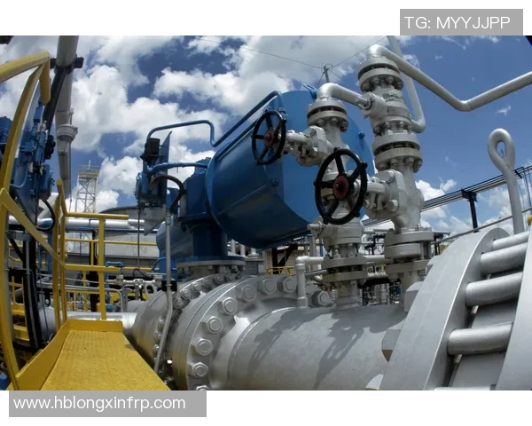 专业分析LNG市场的整体压制策略与未来发展趋势探讨